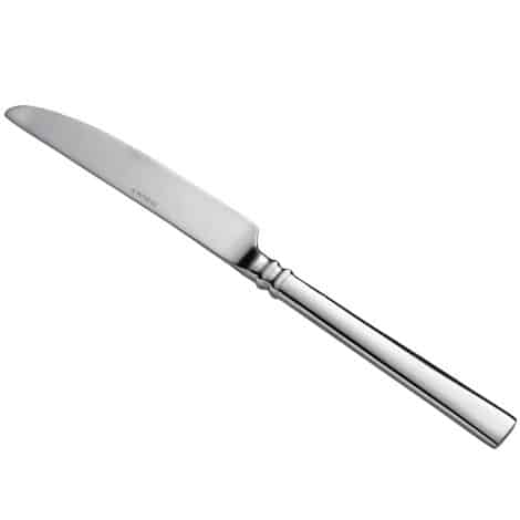 stainless dinner knife