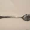 stainless chafing dish spoon