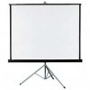 projection screen