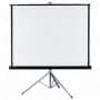 projection screen